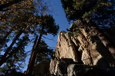 DSC_5165 (Large) (Large).JPG